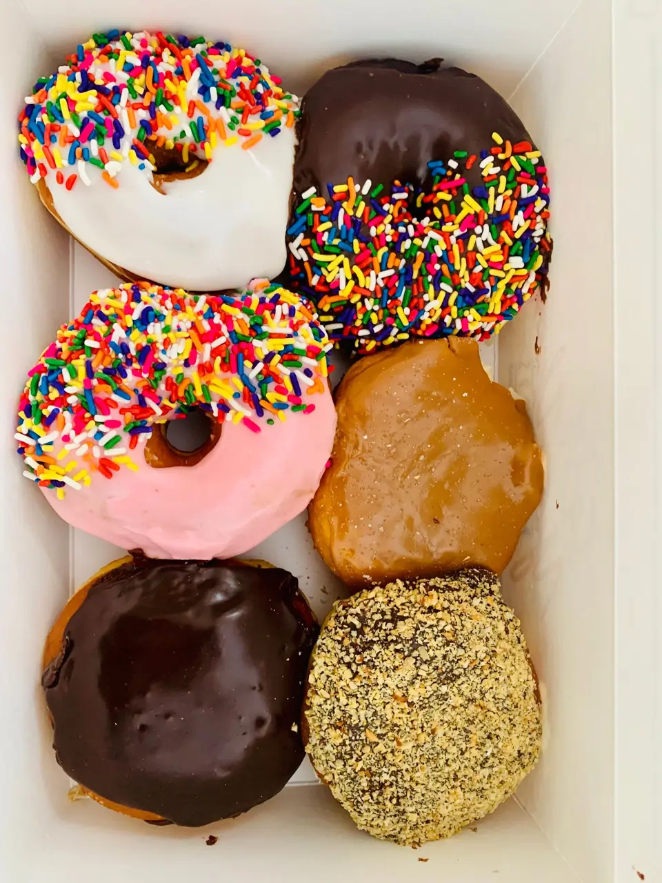 Assorted sprinkled and frosted donuts